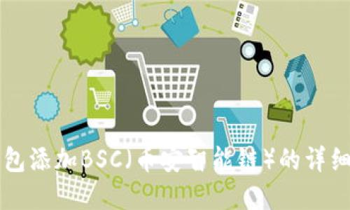 如何在TP钱包添加BSC（币安智能链）的详细步骤与指南