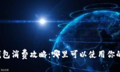 上海数字钱包消费攻略：哪里可以使用你的数字