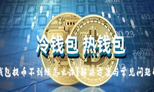 TP钱包提币不到账怎么办？解决方案与常见问题解析