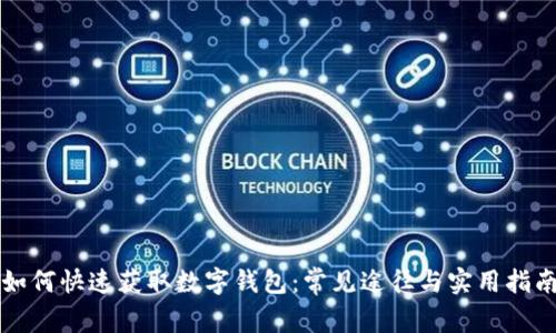 如何快速获取数字钱包：常见途径与实用指南