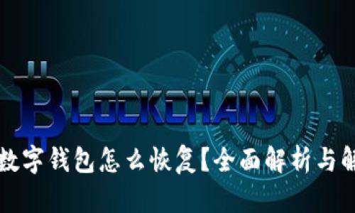 注销的数字钱包怎么恢复？全面解析与解决方案