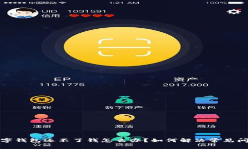 数字钱包还不了钱怎么办？如何解决常见问题