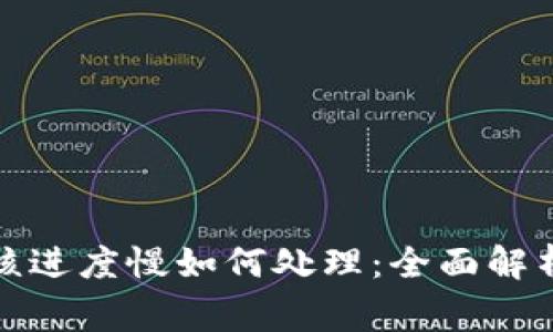 数字钱包审核进度慢如何处理：全面解析与解决方案