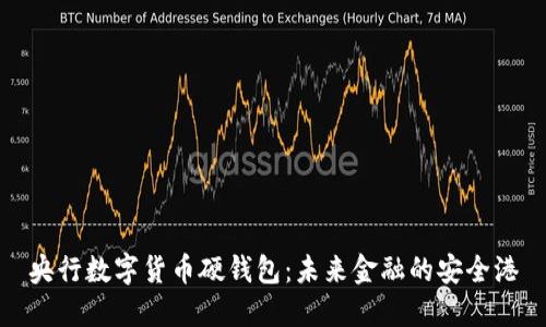 央行数字货币硬钱包：未来金融的安全港
