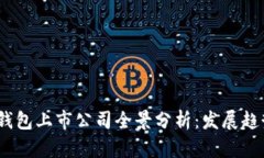 2023年数字钱包上市公司全景分析：发展趋势与投