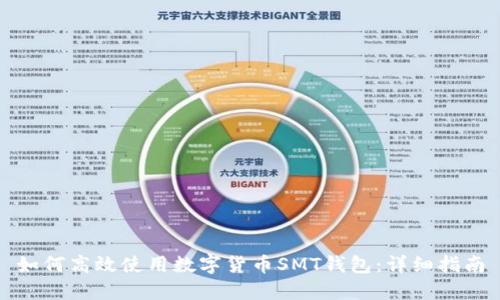 如何高效使用数字货币SMT钱包：详细指南