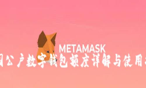 中国公户数字钱包额度详解与使用指南