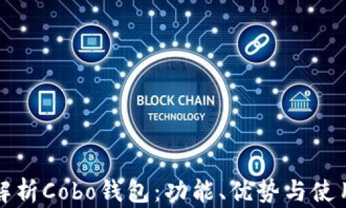 
完整解析Cobo钱包：功能、优势与使用指南