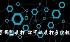 揭秘数字钱包质押：你可以质押多少数字货币？