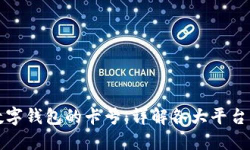 如何查看数字钱包的卡号：详解各大平台的操作方法