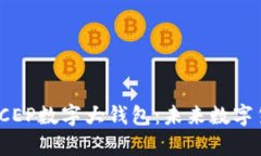 全面解析DCEP数字大钱包：未来数字货币的关键