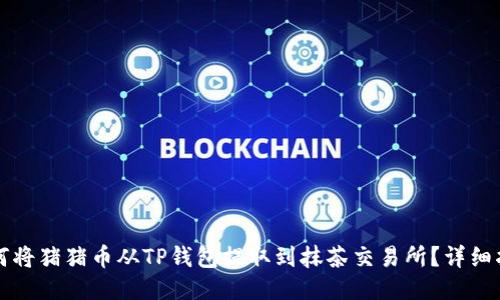 如何将猪猪币从TP钱包提取到抹茶交易所？详细指南