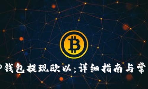 如何使用TP钱包提现欧以：详细指南与常见问题解答