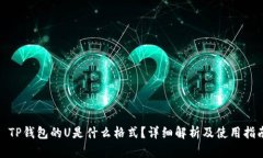 : TP钱包的U是什么格式？详细解析及使用指南