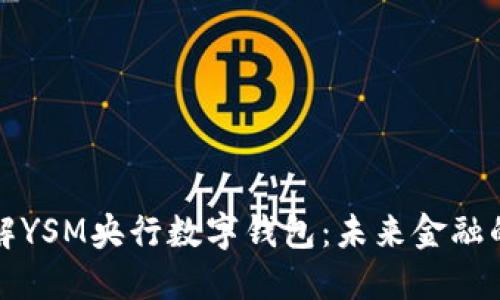 深入了解YSM央行数字钱包：未来金融的新选择