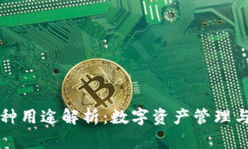 TP钱包的多种用途解析：数字资产管理与区块链应用