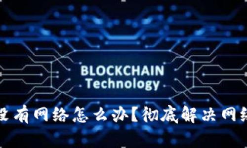 TP钱包突然没有网络怎么办？彻底解决网络问题的指南